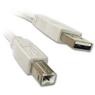 USB Printer Cable 10ft (A to B).